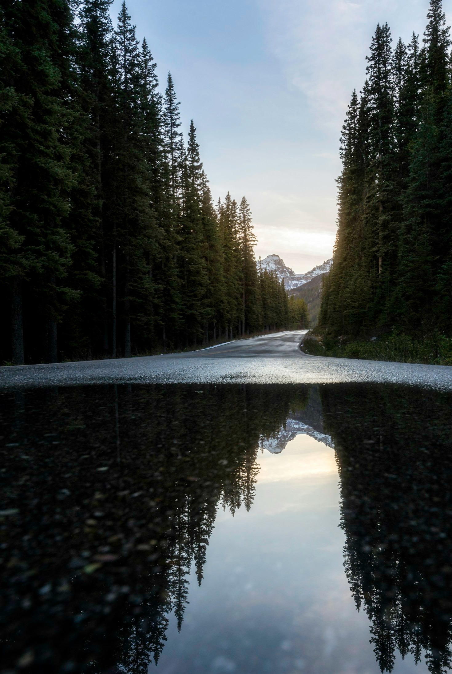 Behind the Lense: Gavin’s Wildest Shots