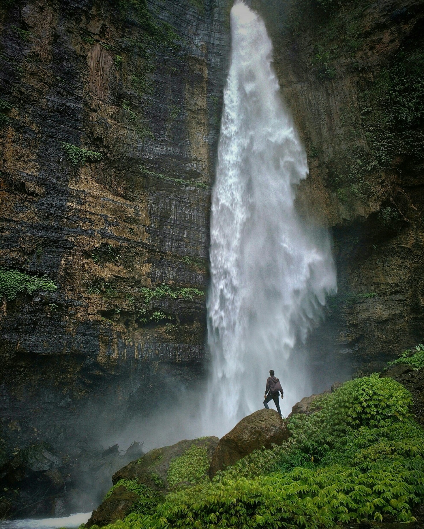 The Role of an Ecologist in Adventure Travel